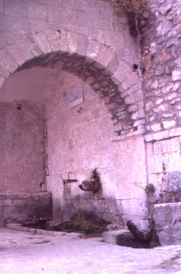 pera_vrisi_02_l.jpg